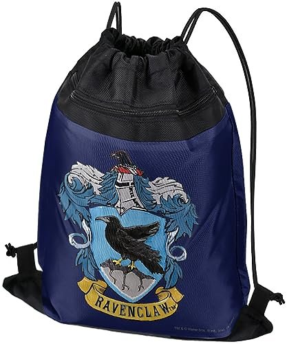 LOGOVISION Harry Potter Ravenclaw Painted