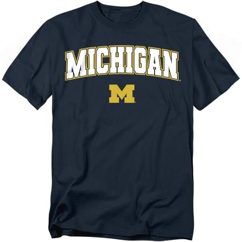 LOGOVISION University of Michigan Arch